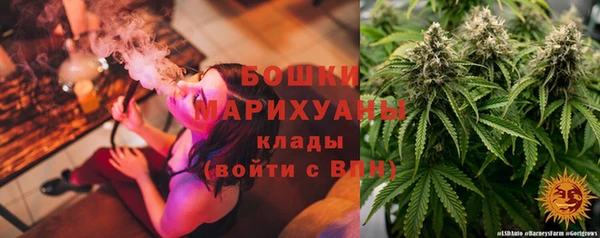 крисы Аркадак