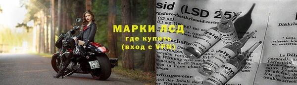 меф Арсеньев